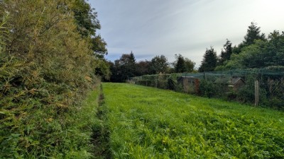 Voir la fiche
