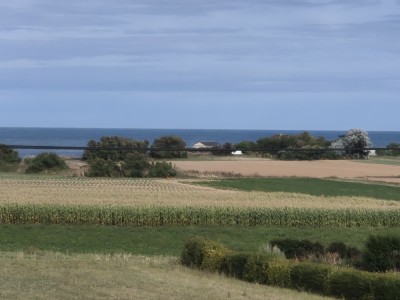 Voir la fiche